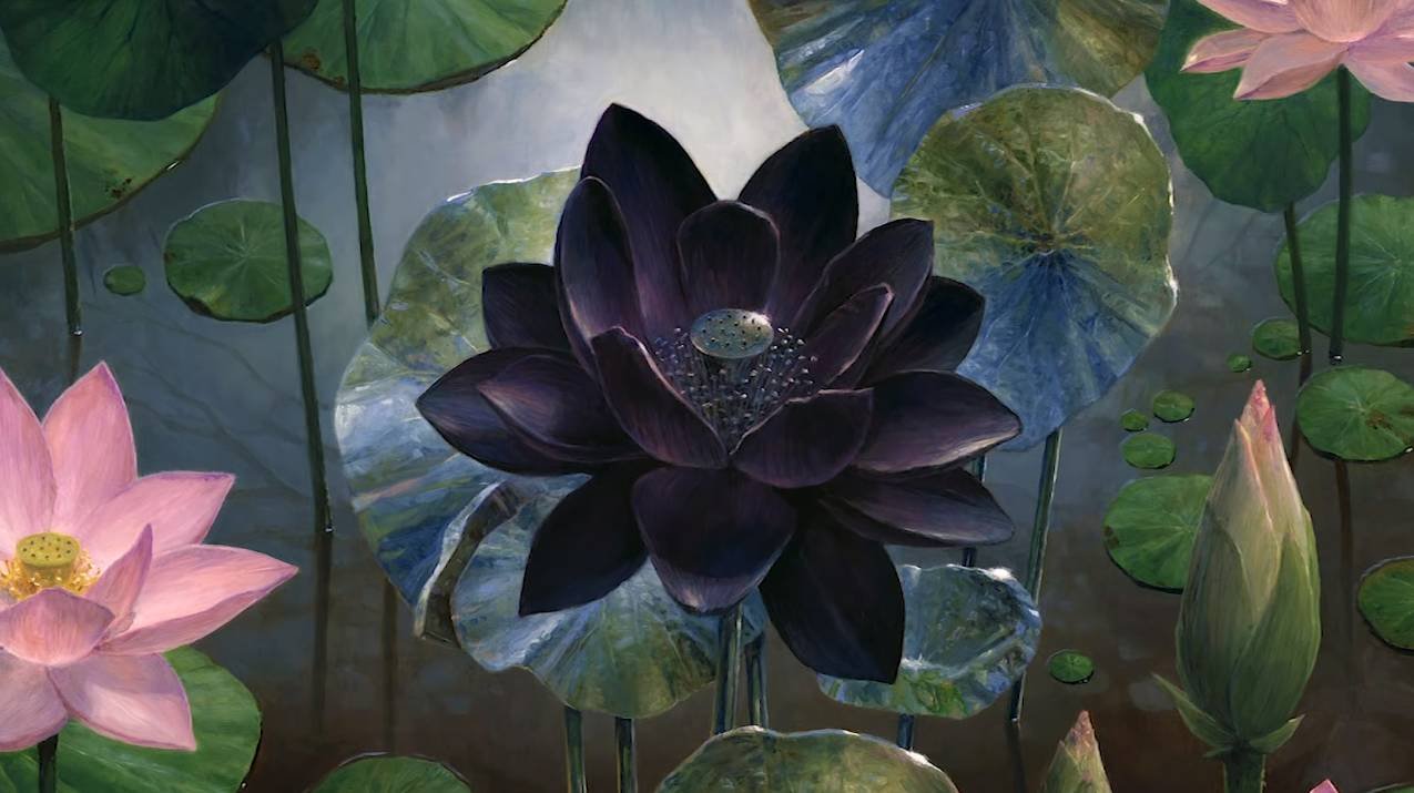 Immagine di Magic The Gathering: un Black Lotus Alpha è stato venduto per 166 mila dollari