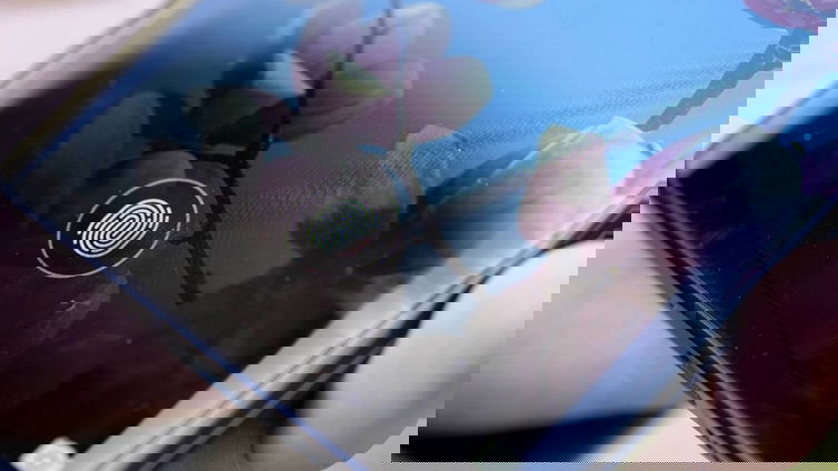 Immagine di Redmi, è pronto il sensore biometrico sotto il display LCD