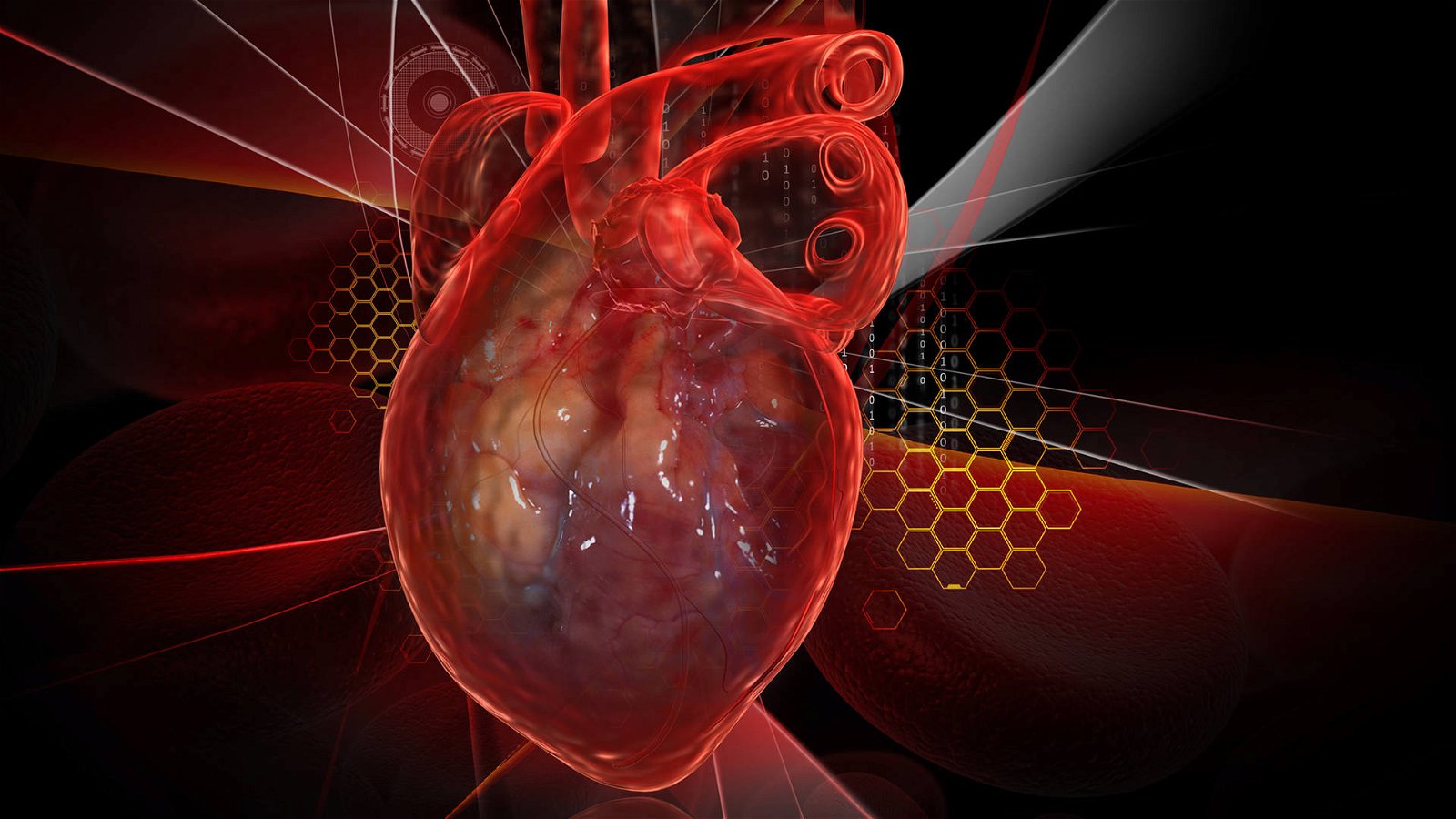 Immagine di Ecco il primo cuore stampato in 3D con tessuti umani