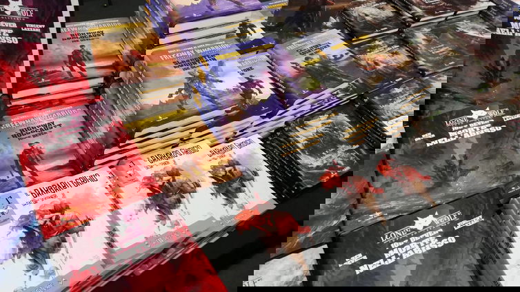 Immagine di Modena Play 2019, Quadrilatero Libro Game - reportage dalla fiera