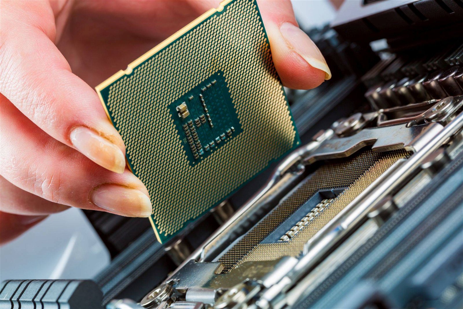 Immagine di AMD Raphael e Intel Raptor Lake, sarà un 2022 col botto