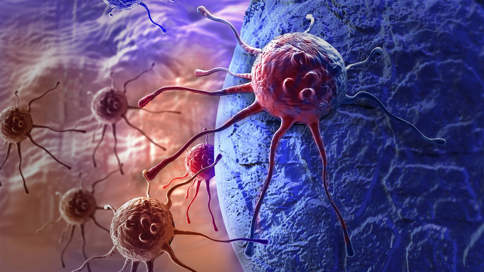 Immagine di CRISPR contro i tumori, lo strumento di editing genetico utilizzato per la prima volta in USA
