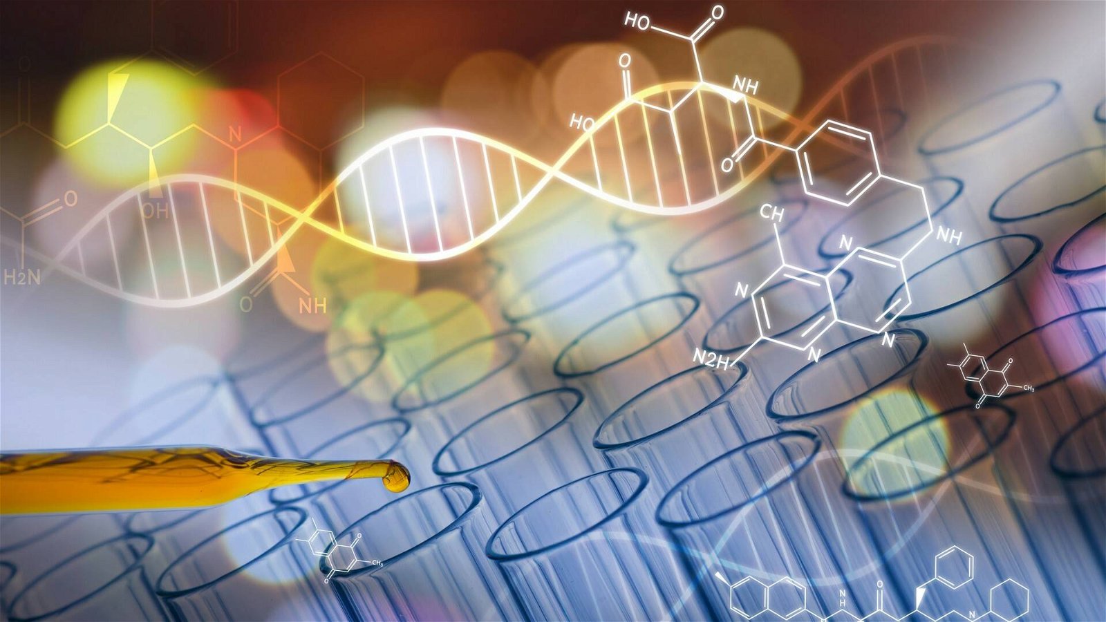 Immagine di Creati batteri con DNA completamente sintetico