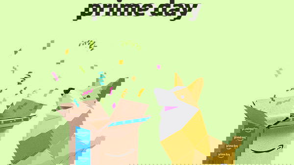 Immagine di Amazon Prime Day 2019, super offerte dal 15 al 16 luglio