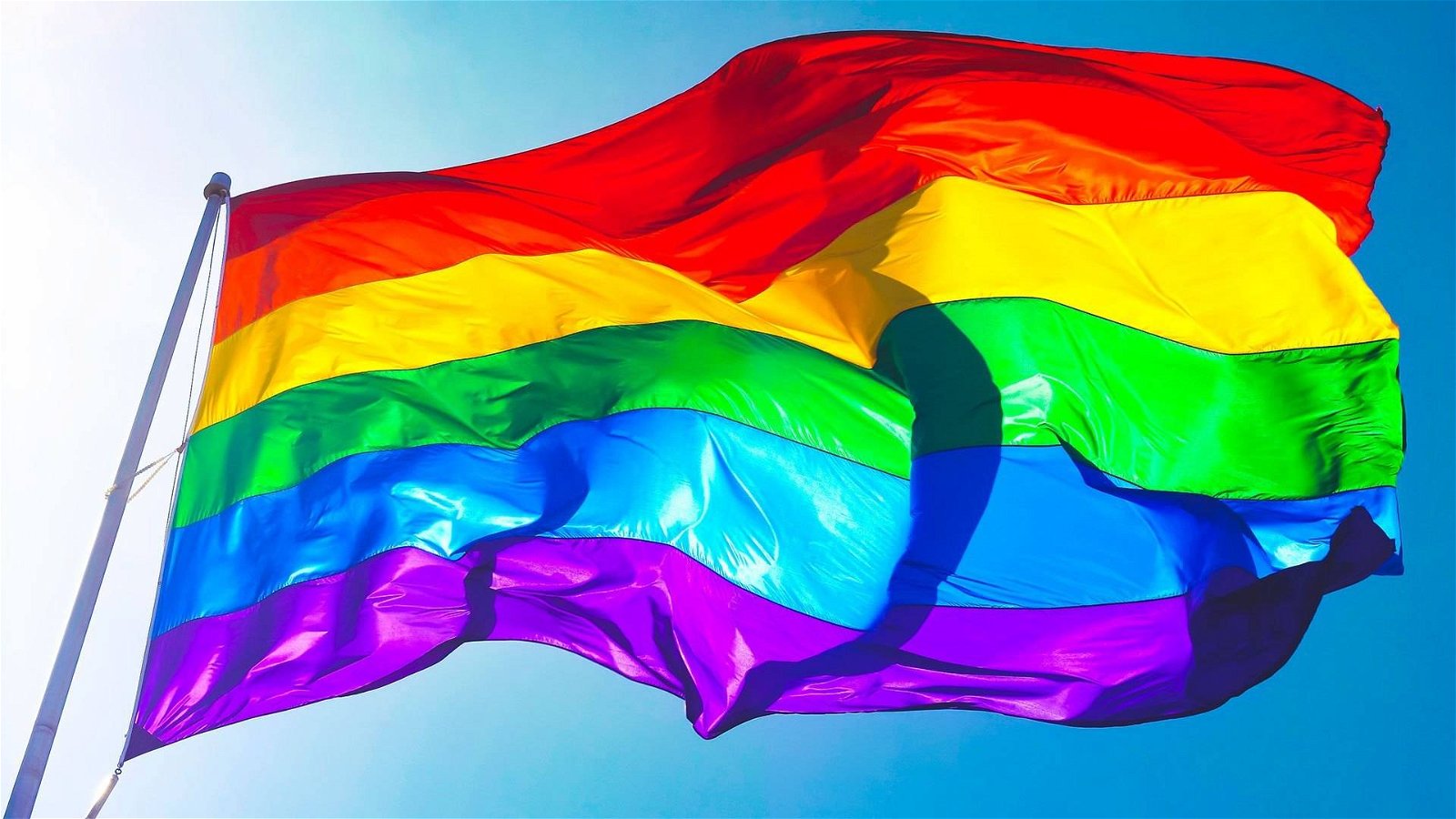 Immagine di Steam: l'etichetta LGBTQ+ è finalmente ufficiale