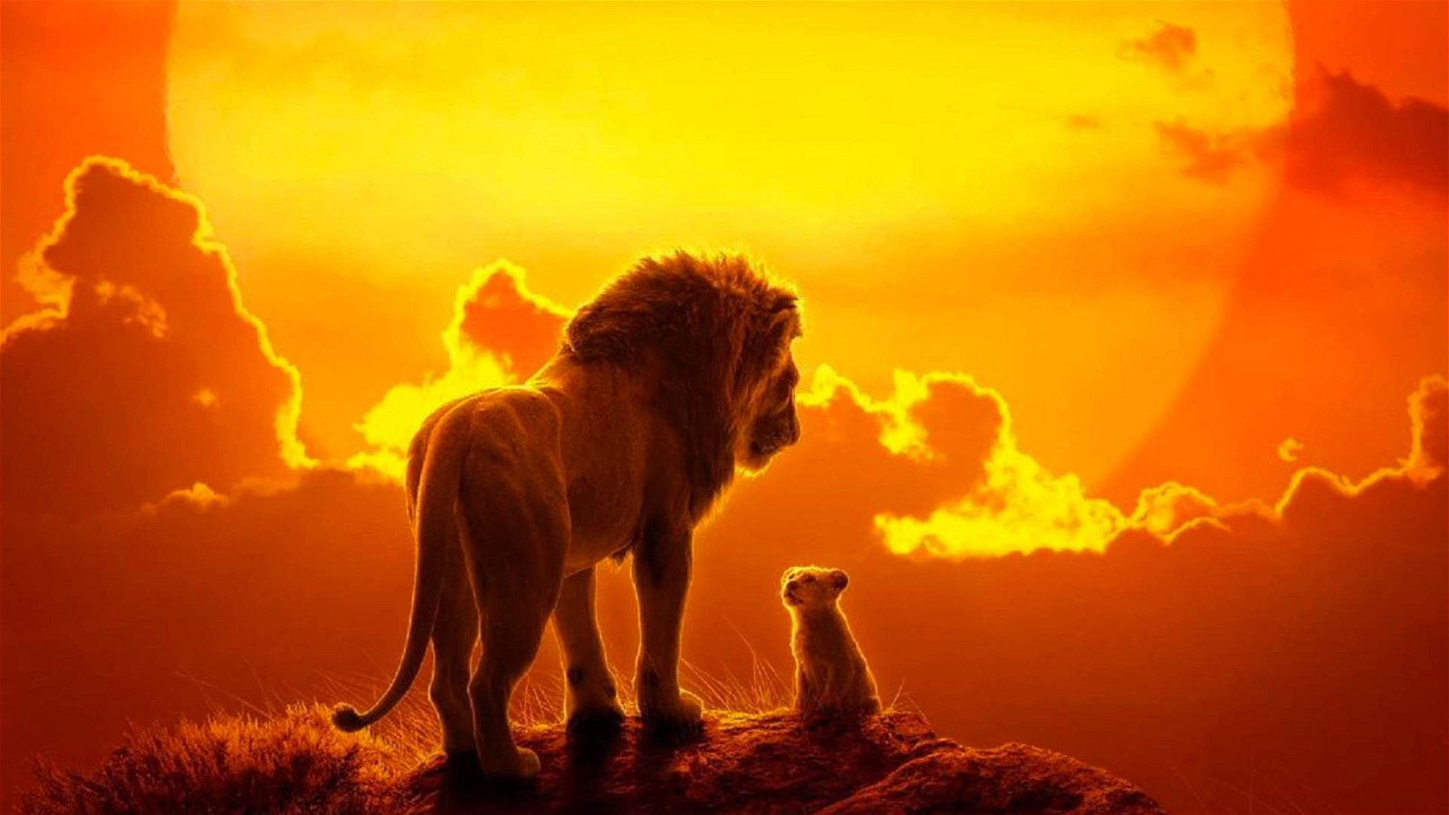Immagine di Disney lancia la campagna "Proteggi i leoni africani"