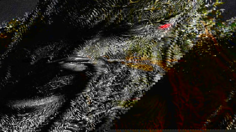 Immagine di DC Universe cancella Swamp Thing dopo una sola puntata