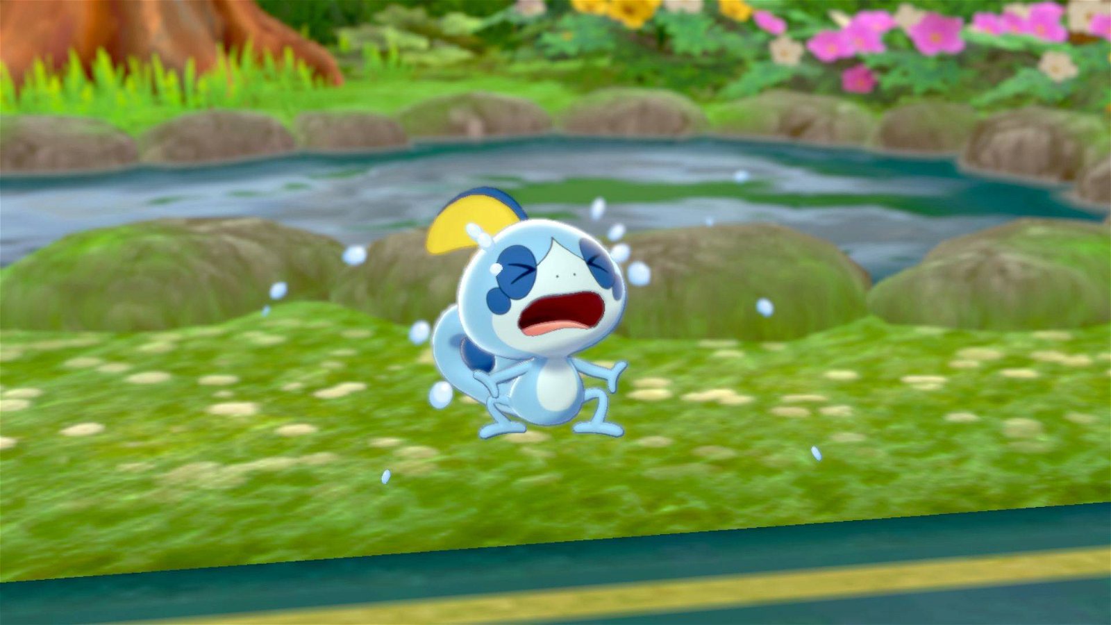 Immagine di Pokémon Spada e Scudo, a Galar si mangiano pokémon