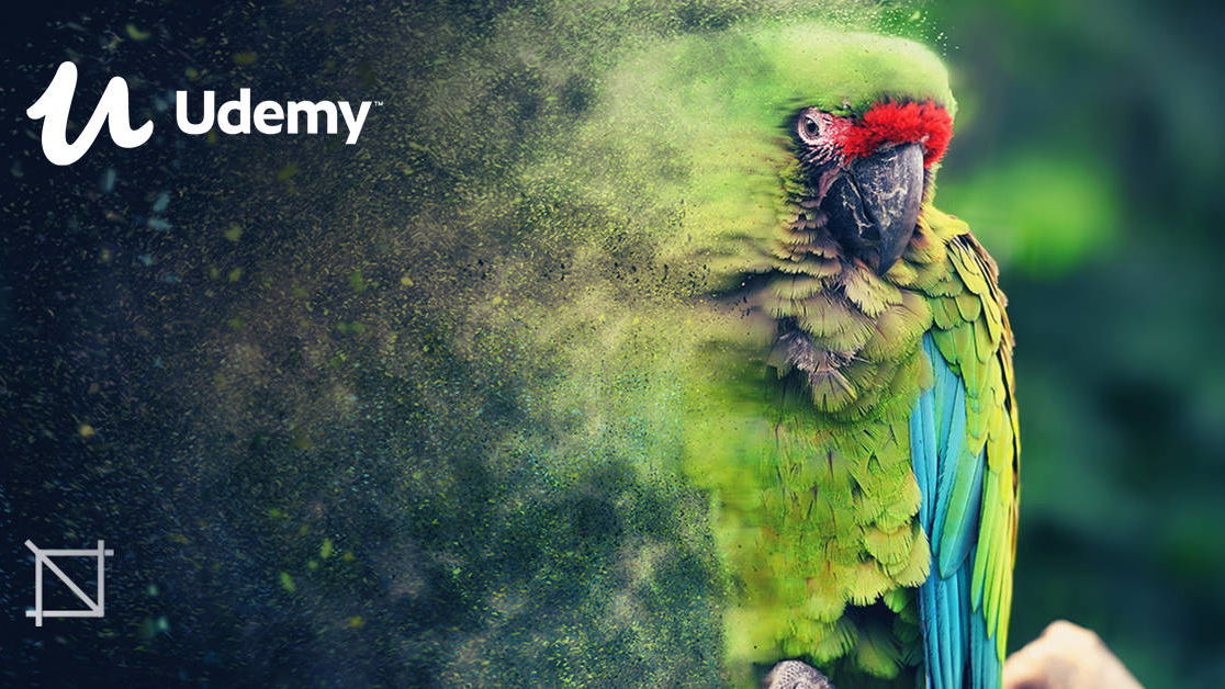 Immagine di Corso Udemy "Adobe Photoshop CC: il corso essenziale" in offerta a 11,99€ (94% di sconto)