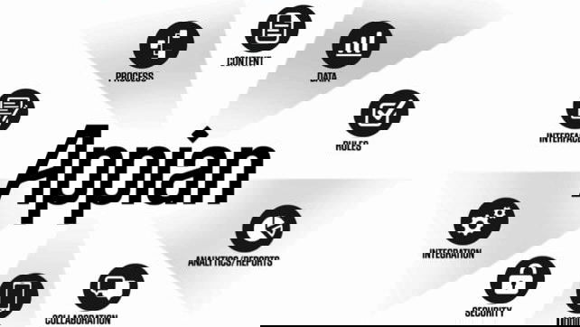 Immagine di Appian splende nel Magic Quadrant