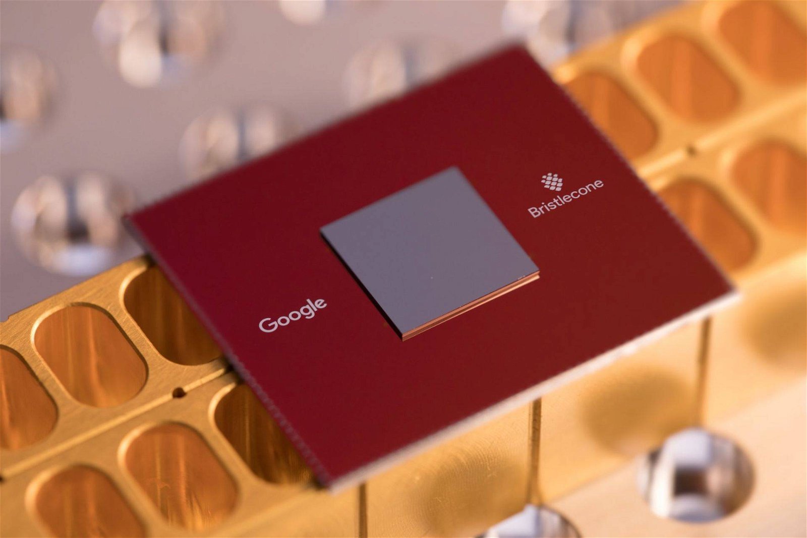 Immagine di Google ha raggiunto la supremazia quantistica? È giallo