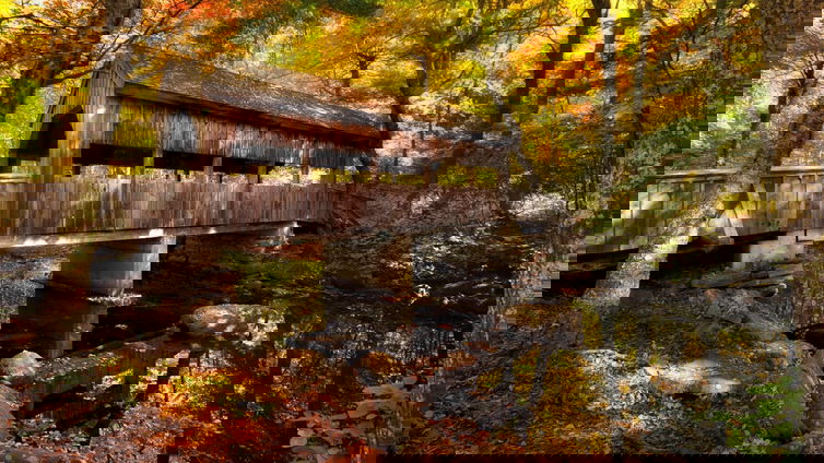Immagine di Windows, un nuovo tema per festeggiare l'arrivo dell'autunno