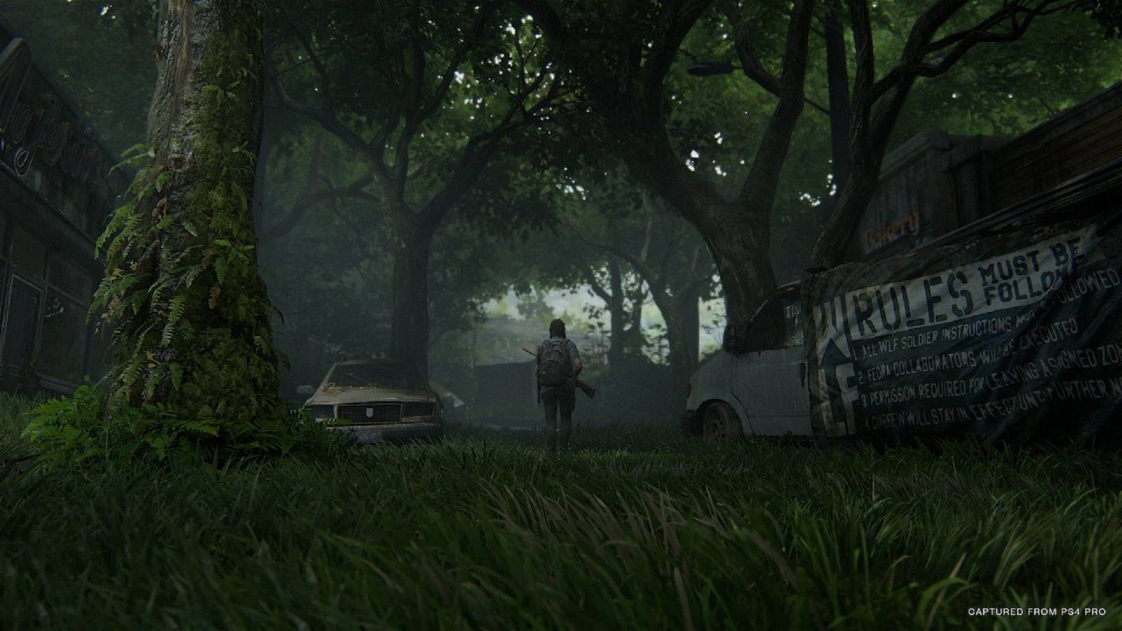 Immagine di The Last of Us 2 sarà su due Blu Ray, è confermato