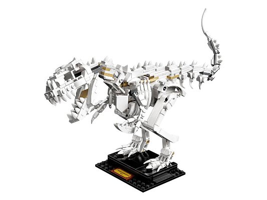 21320-dinosaur-fossils-lego-ideas-56958.jpg