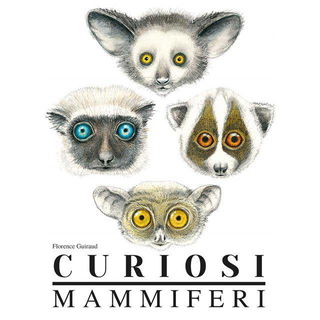 Immagine di Curiosi mammiferi