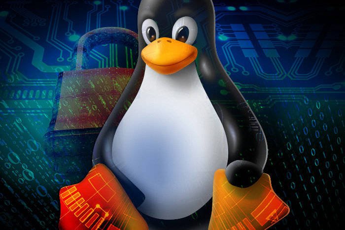 Immagine di Linux, con il kernel 5.7 arriva il supporto alle Nvidia GTX serie 16xx