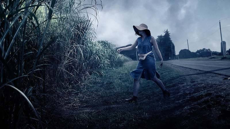 Immagine di Nell'erba alta: la recensione del nuovo film Netflix ispirato a King