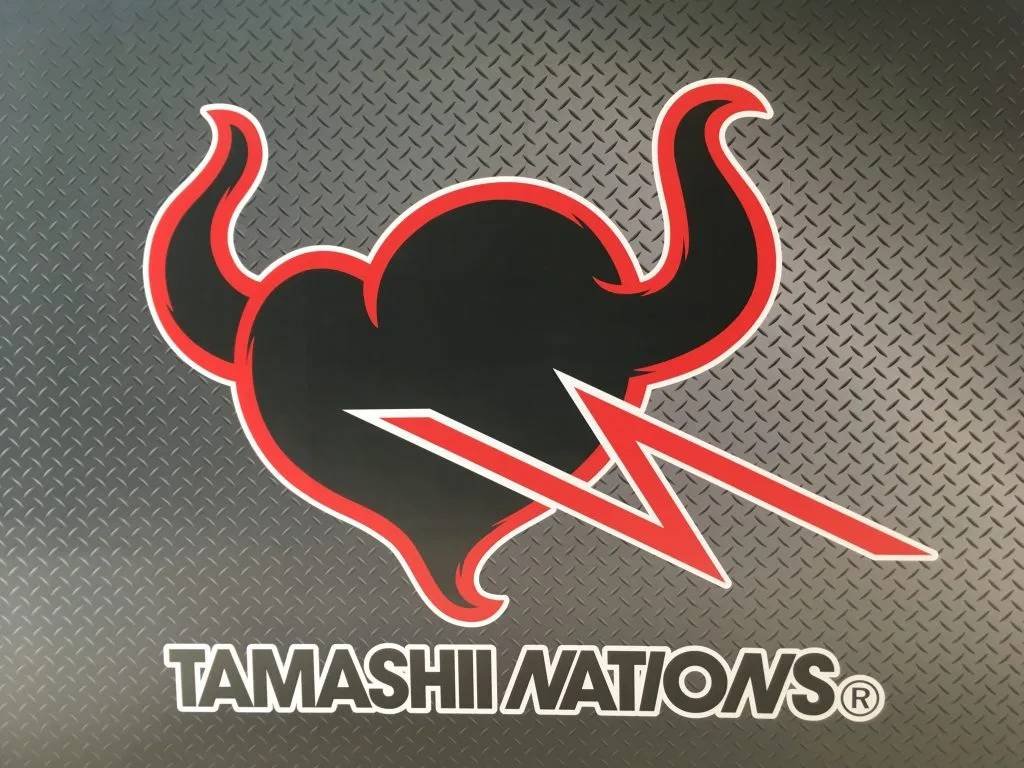 Immagine di Tamashii Nations – Bandai, le uscite di ottobre 2019