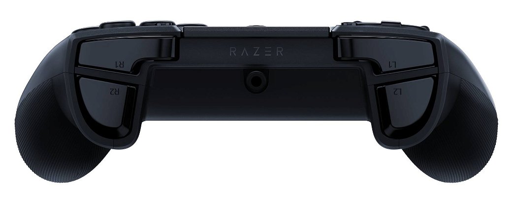 razer-raion-controller-55889.jpg