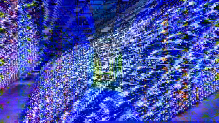 Immagine di Arriva il piano EU Data Boundary for Microsoft Cloud