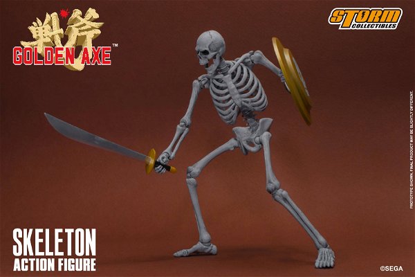 skeleton-2-pack-65618.jpg