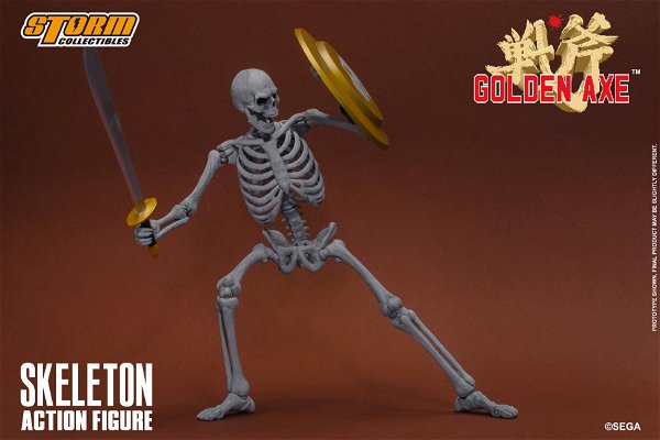 skeleton-2-pack-65619.jpg