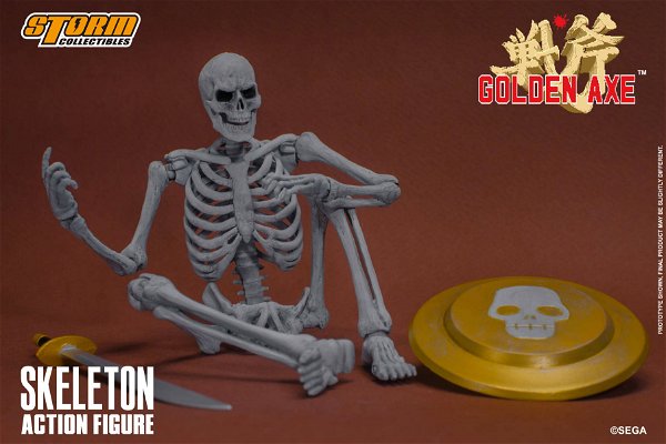 skeleton-2-pack-65621.jpg