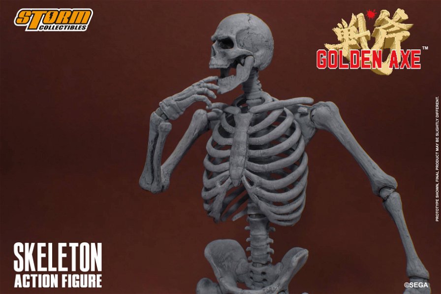 skeleton-2-pack-65625.jpg
