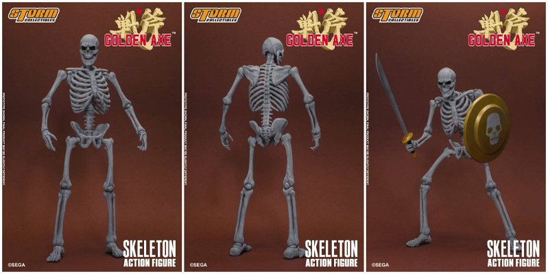 skeleton-2-pack-65626.jpg
