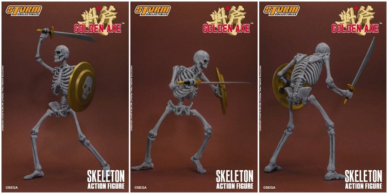 skeleton-2-pack-65627.jpg