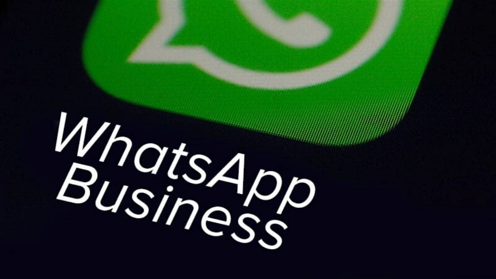Immagine di WhatsApp Business fa sul serio: in arrivo gli acquisti in-app