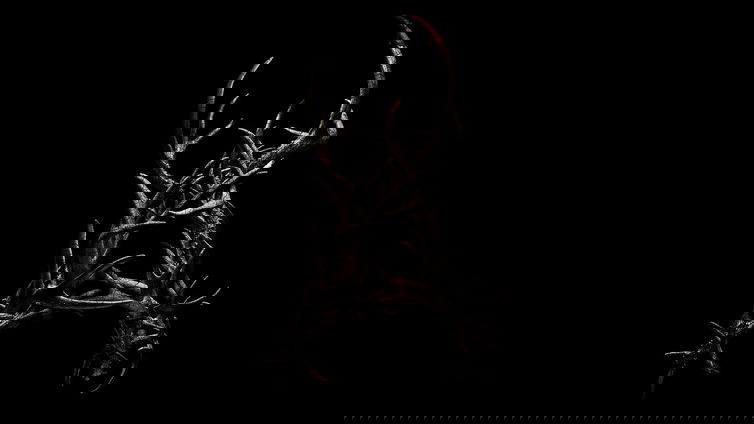 Immagine di Antlers: ecco il trailer finale del nuovo film prodotto da Guillermo Del Toro