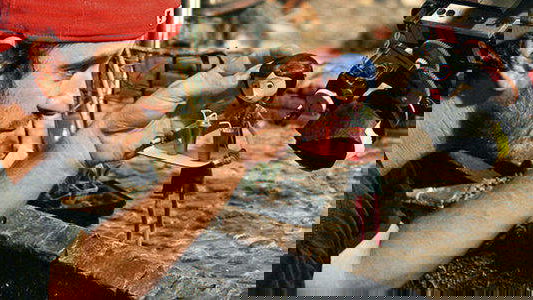 Immagine di La Stop Motion: dare vita all'inanimato