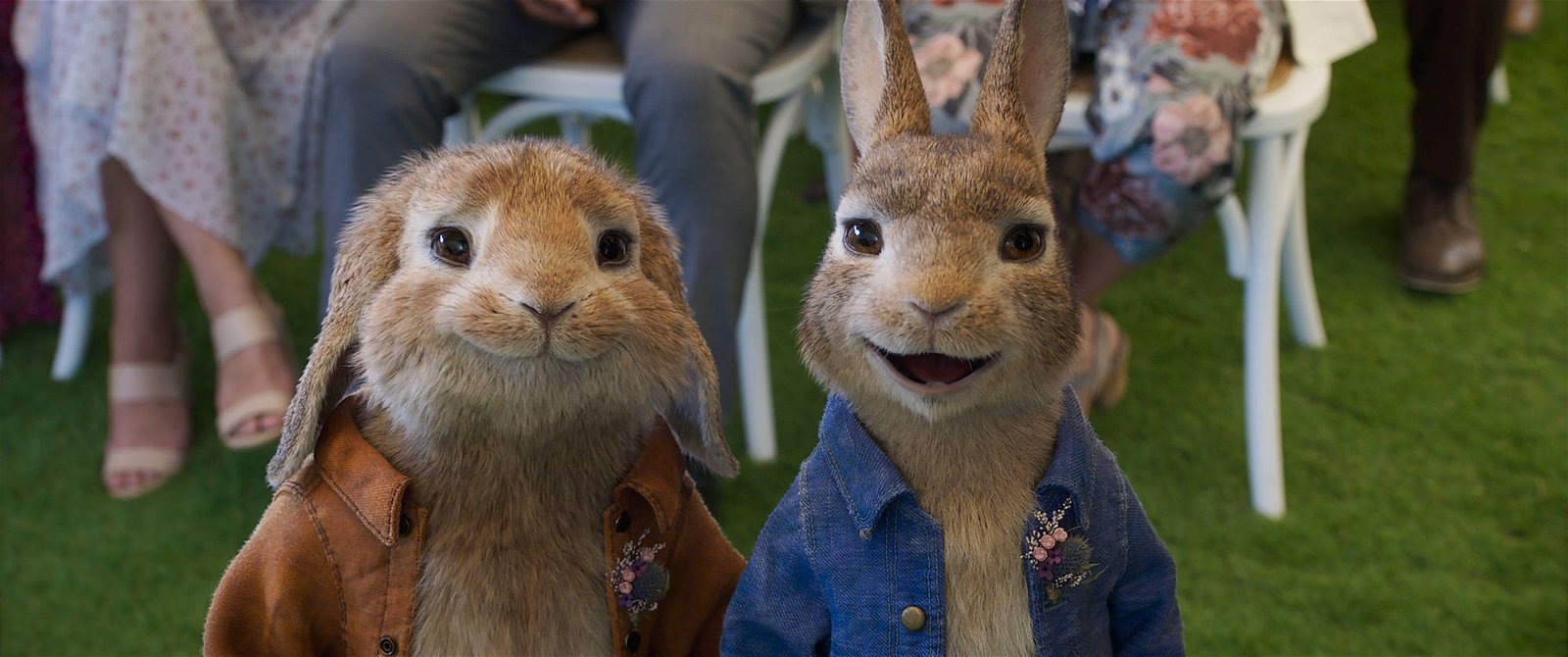 Immagine di Peter Rabbit 2 si mostra nel suo nuovo trailer italiano!