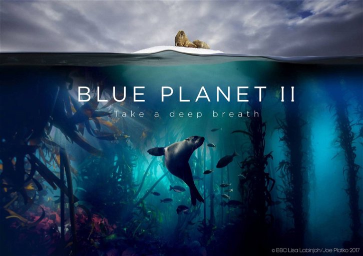 Immagine di Arriva in home video la serie BBC Blue Planet II per Koch Media