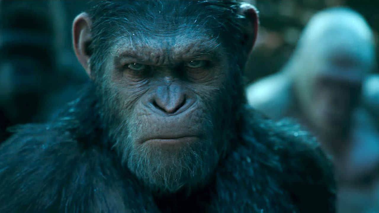 Immagine di Il Pianeta delle Scimmie, titolo ufficiale e prima immagine del nuovo film