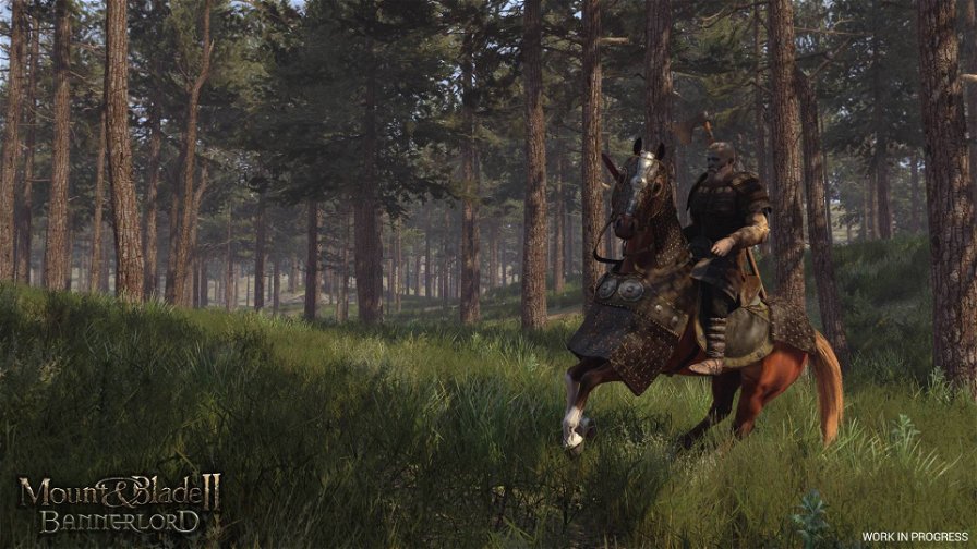 mount-and-blade-2-bannerlord-77796.jpg