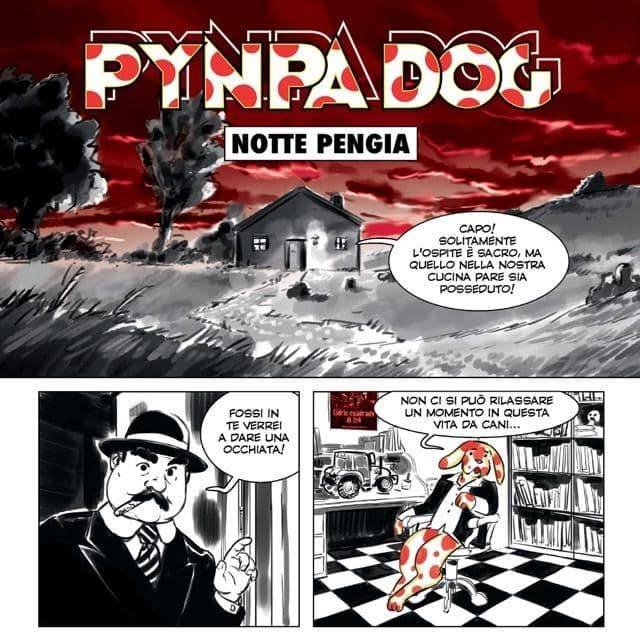 pynpa-dog-76046.jpg