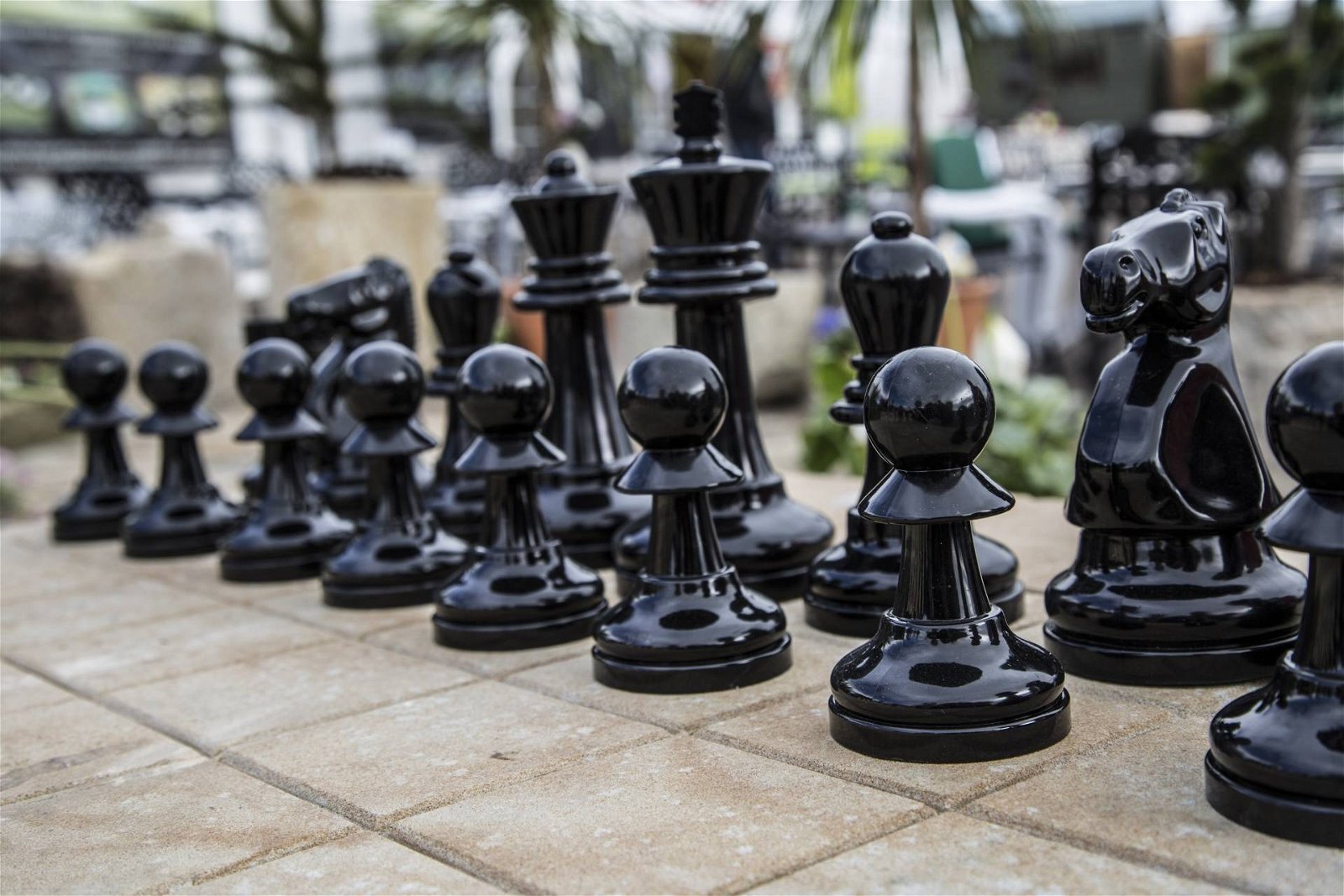 Immagine di eSport e scacchi sono un successo inaspettato