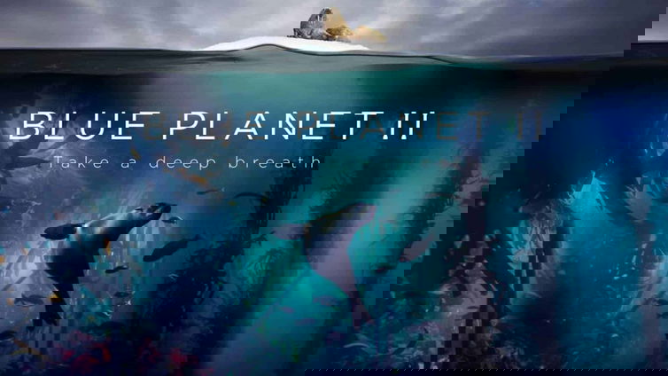 Immagine di Blue Planet 2, recensione: i segreti dell'oro blu