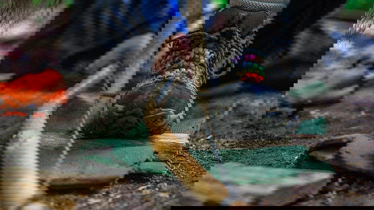 Immagine di 7 manuali per sopravvivere a ogni apocalisse