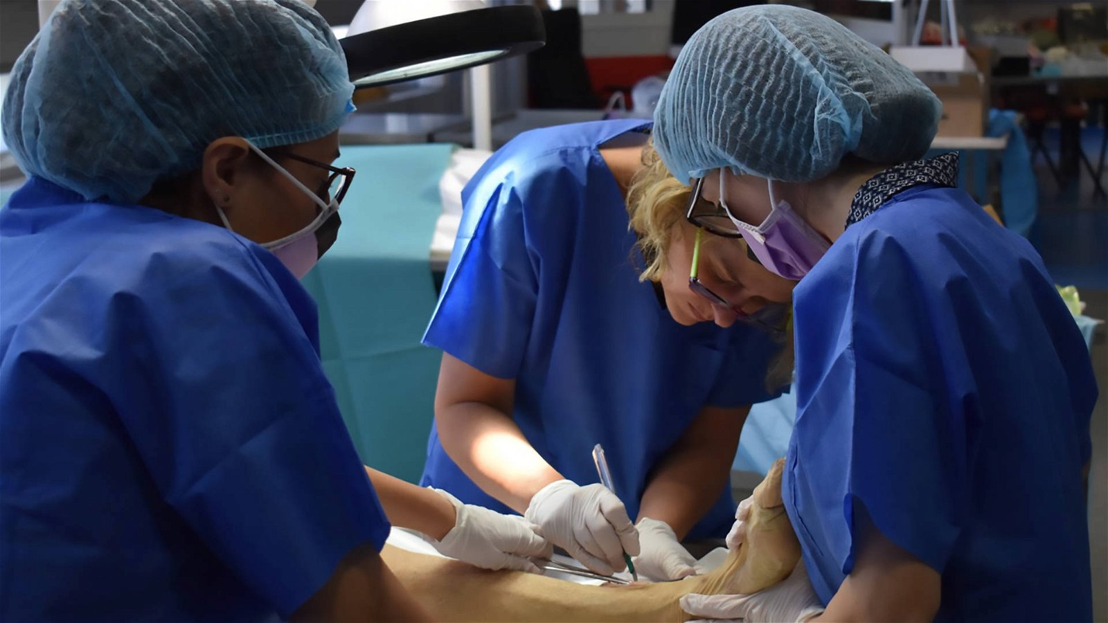 Immagine di Dal Politecnico di Torino un dispositivo medico innovativo per la riparazione dei tessuti tendinei lesionati
