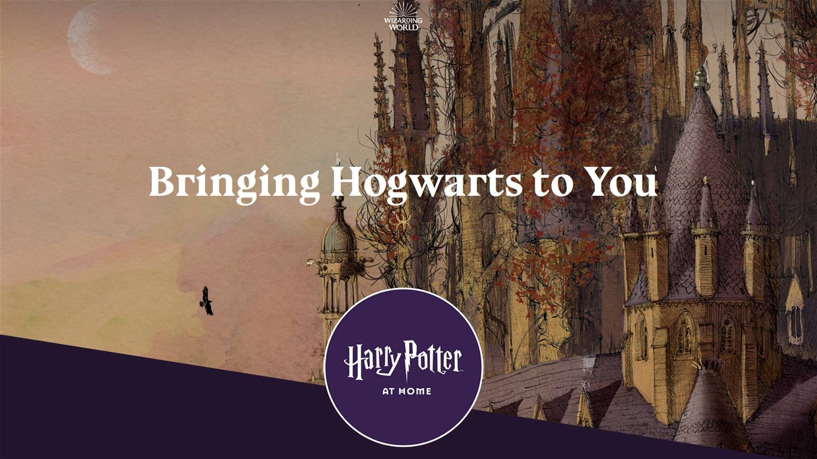 Immagine di Harry Potter at Home: il nuovo sito creato da Wizarding World