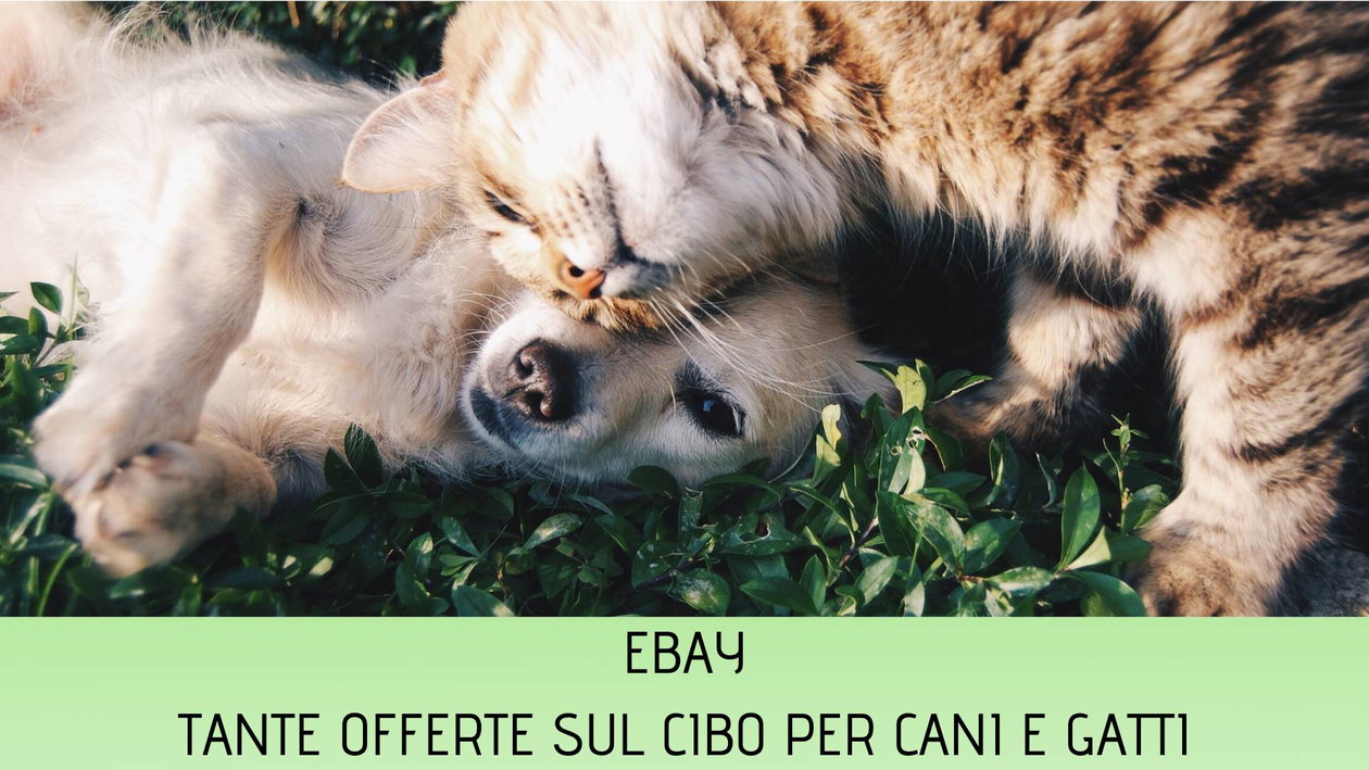 Immagine di eBay: tante offerte per i nostri amici a quattro zampe!