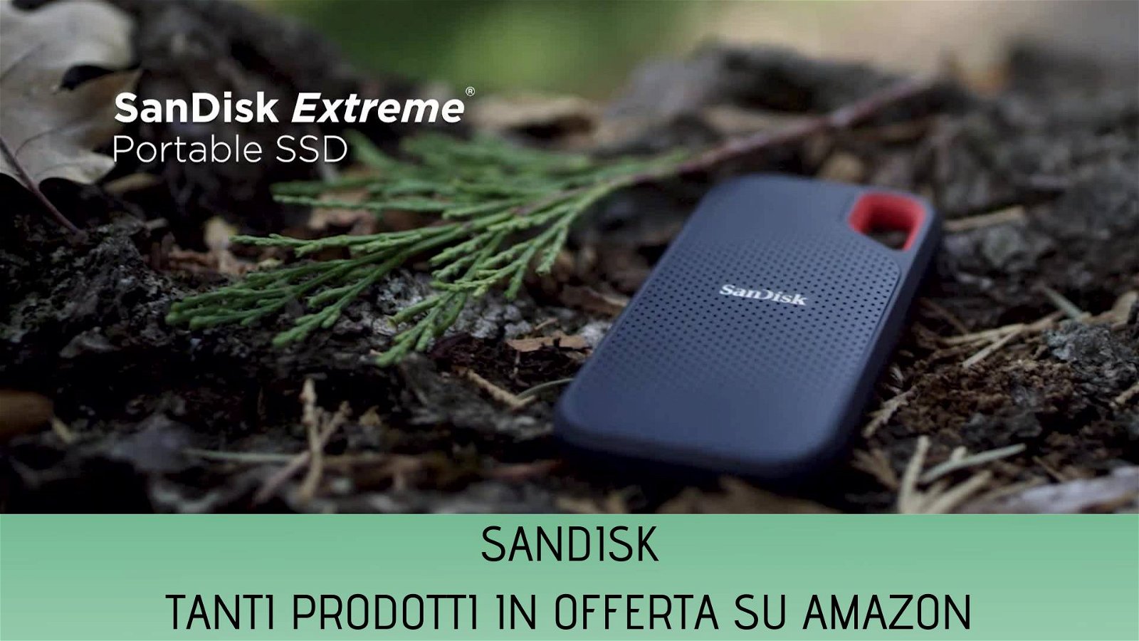 Immagine di SSD, SD e chiavette SanDisk in super sconto su Amazon