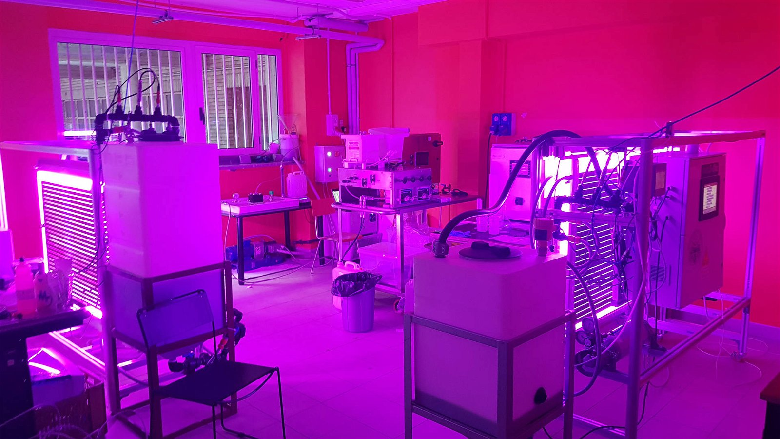 Immagine di Sistemi di crescita microalgali avanzati con illuminazione artificiale, dal Politecnico di Torino una soluzione innovativa