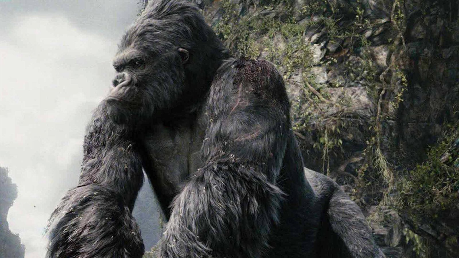 Immagine di King Kong arriva sul piccolo schermo, Disney al lavoro su una serie TV