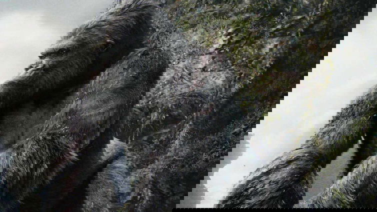 Immagine di King Kong arriva sul piccolo schermo, Disney al lavoro su una serie TV