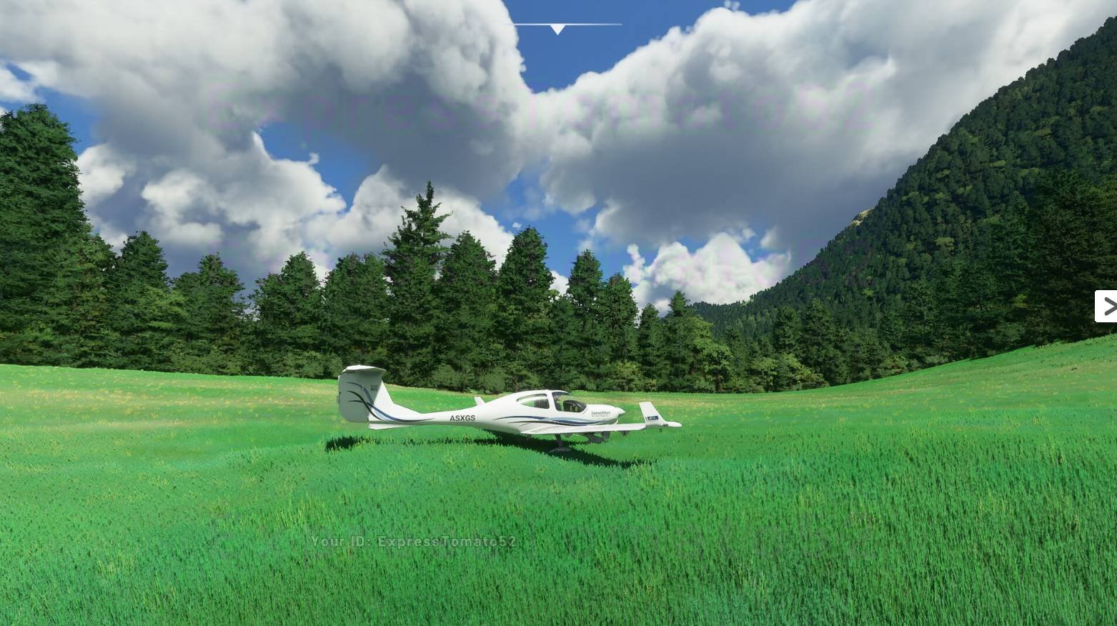 Immagine di Flight Simulator: il traffico aereo é sincronizzato col mondo reale