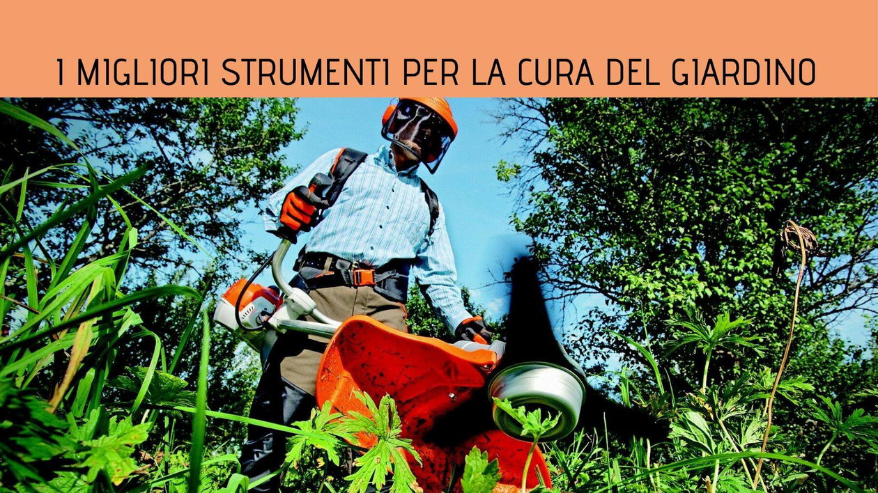 Immagine di I migliori strumenti per la cura del giardino
